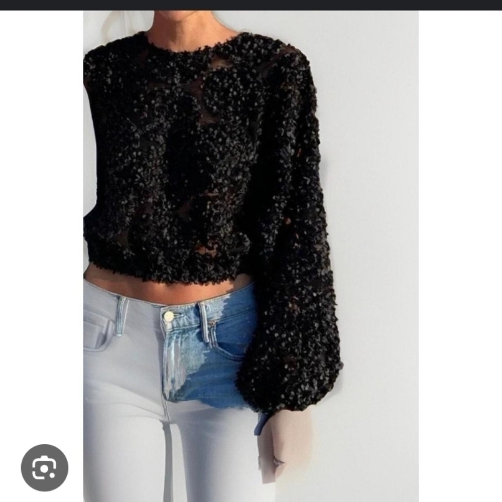 Zara Sheer Black Mesh With 3D Applique Petals Boho Casual Crop Long Sleeve Top